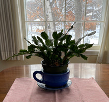 Load image into Gallery viewer, Kitchen Tea Towel