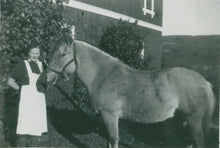 Load image into Gallery viewer, Hovden Full Apron