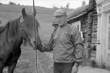 Load image into Gallery viewer, Rustic - linen shirt