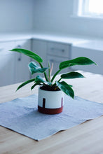 Load image into Gallery viewer, Kitchen Tea Towel