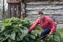 Load image into Gallery viewer, Traditional Solberg Red - cotton shirt
