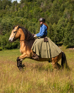 Traditional Solberg Bright Blue cotton shirt - Button Down